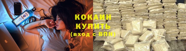 PSILOCYBIN Алзамай