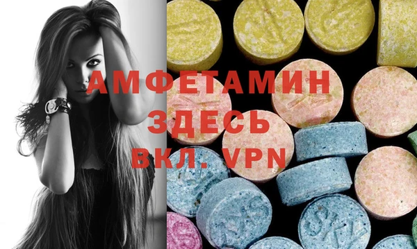 индика Алексин