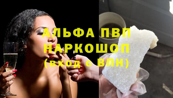 индика Алексин