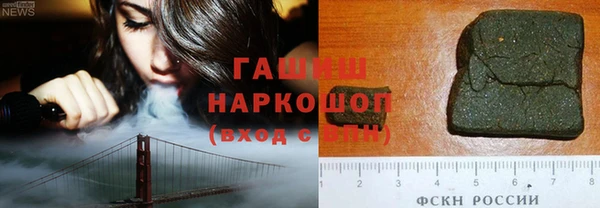 PSILOCYBIN Алзамай