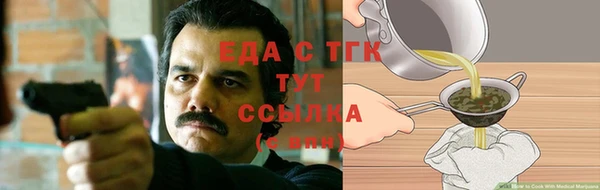 PSILOCYBIN Алзамай
