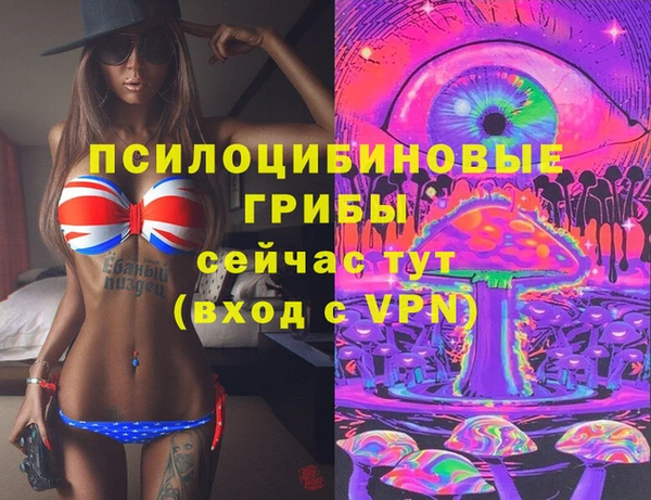 индика Алексин