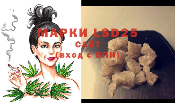 PSILOCYBIN Алзамай