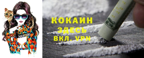 индика Алексин