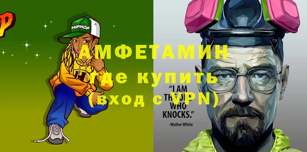 индика Алексин